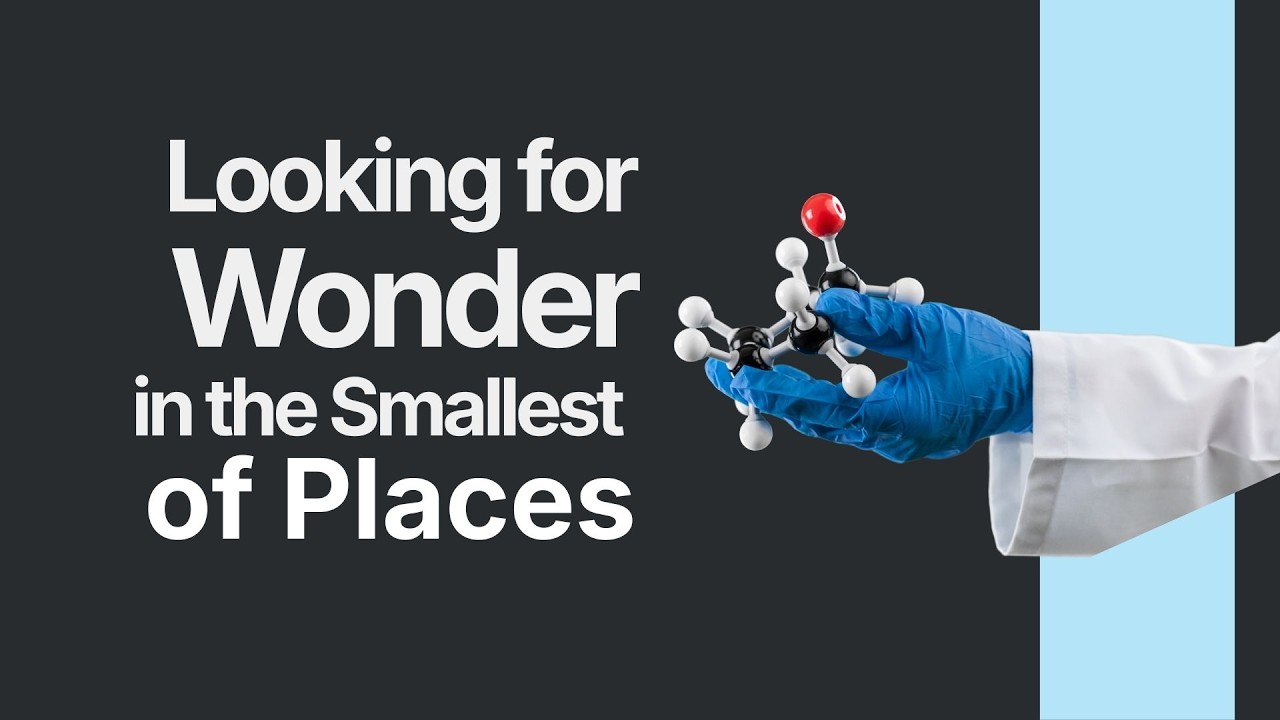 Looking for Wonder in the Smallest of Places presented by Curt Collier