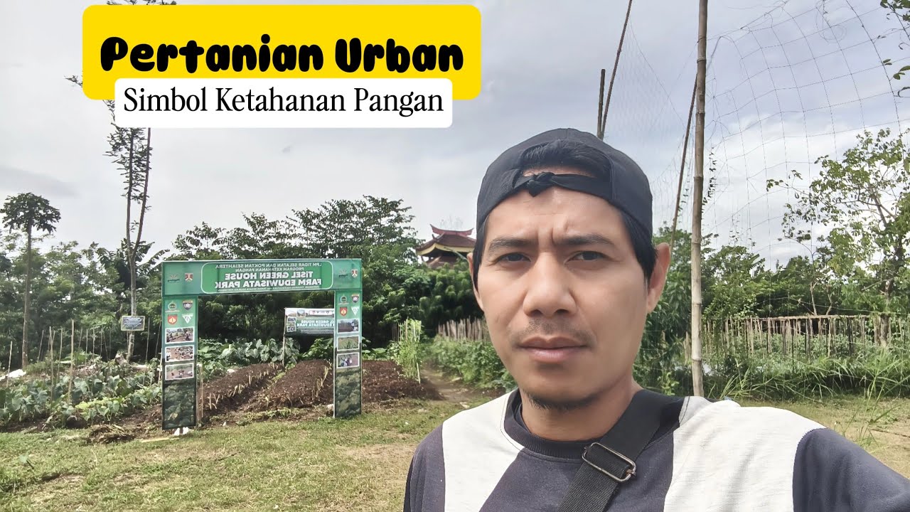 Pengembangan Pertanian Urban Di Perkotaan Untuk Meningkatkan Akses Pangan Segar | Mengurangi Polusi 