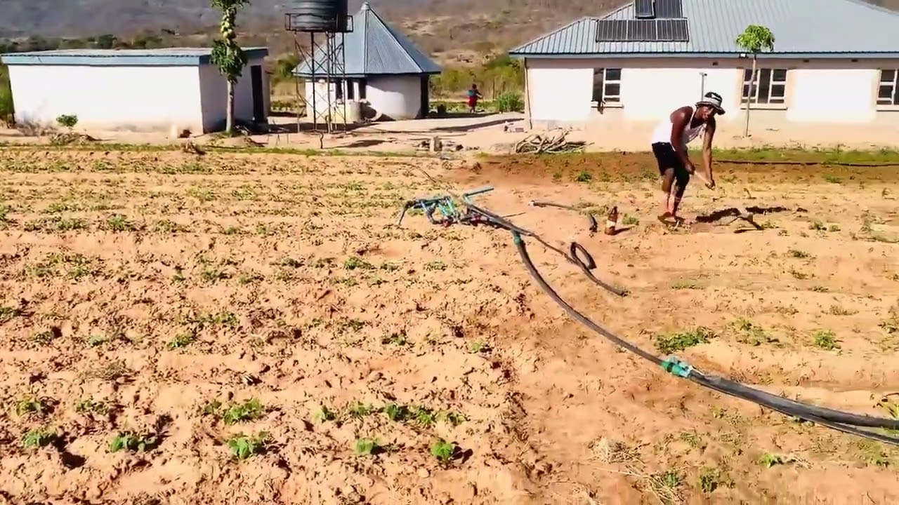 Wedza homestead