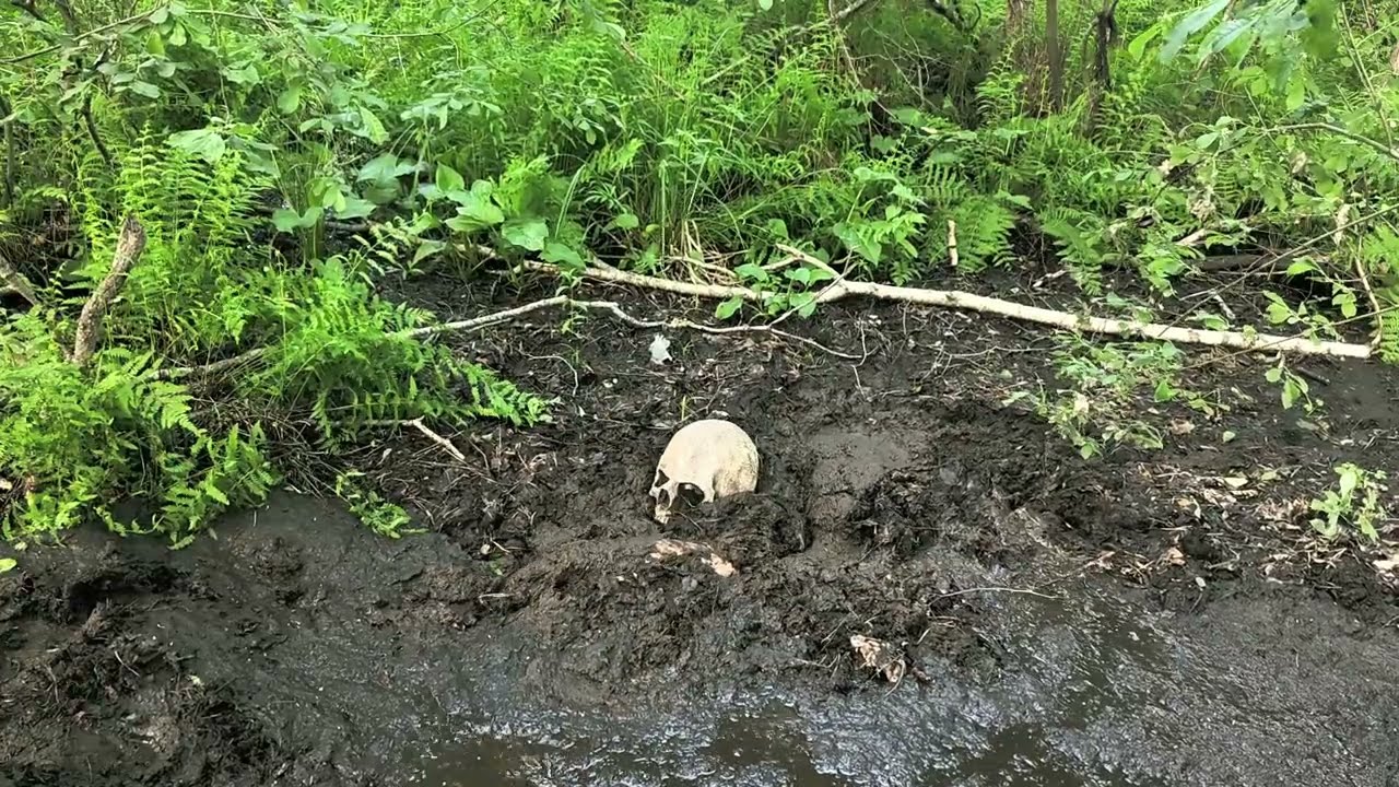 Mudchuck - Masurian Bogs 2026 | Day 3-1