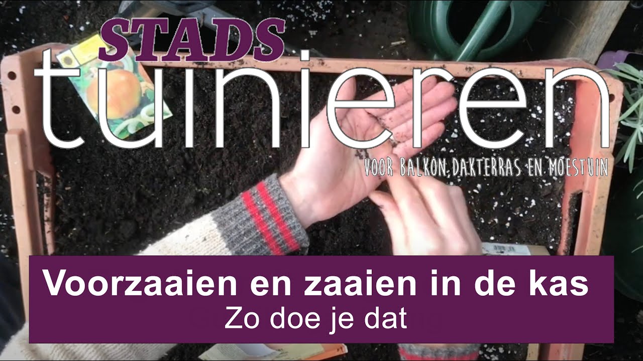 Stadstuinieren - Zaaien en voorzaaien in februari #moestuin