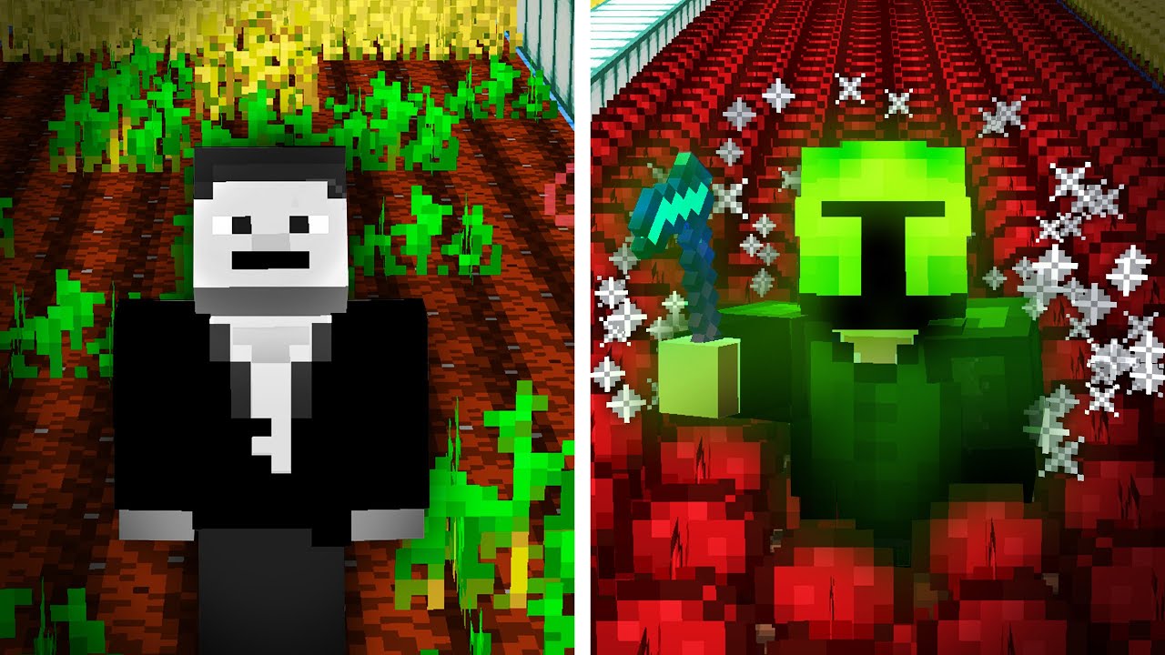 Why I farmed for 1,000 HOURS in Minecraft