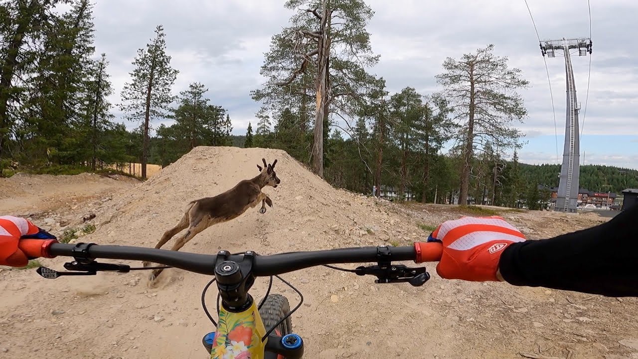Ruka Bike Park shredding 15.07