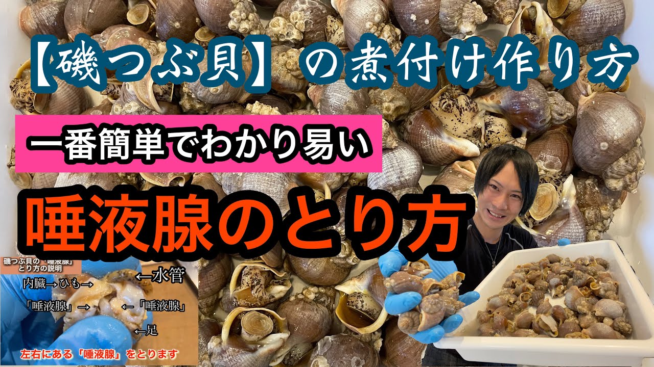 「磯つぶ貝」の一番分かり易い【唾液腺の取り方】安全な煮付けの作り方