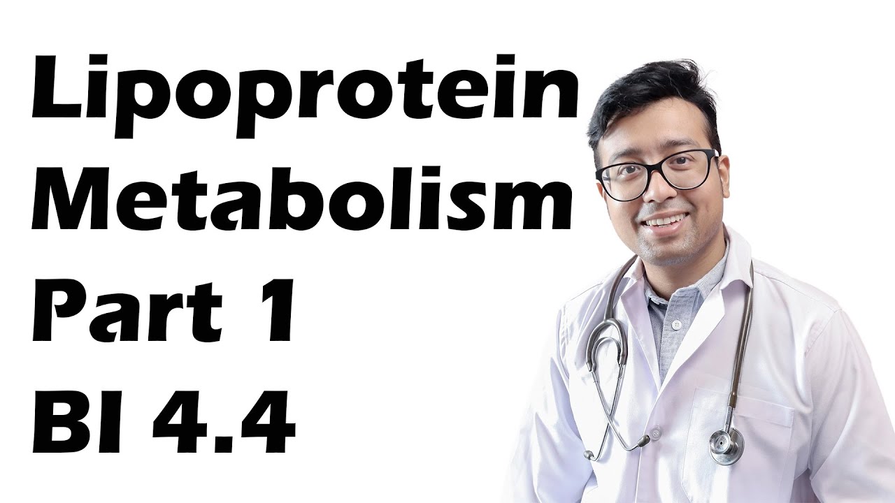 Metabolism of Chylomicrons, VLDL, IDL ,LDL, and Regulation of Lipoprotein Lipase.