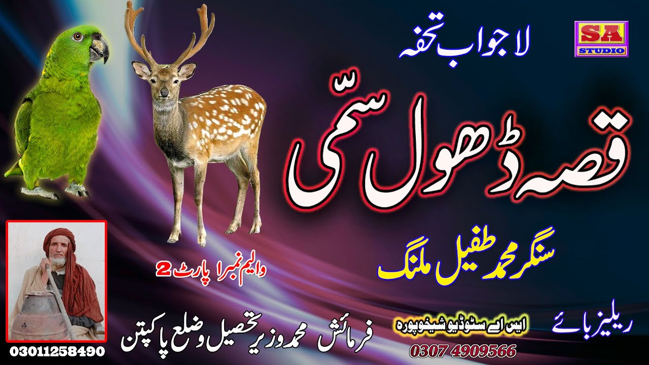 Qisa Dhol Sammi Vol 1 Part 2  Dhol Sammi Old Punjabi Dastan  Qisa Tota Dhol Da By Sain Tafail Malang