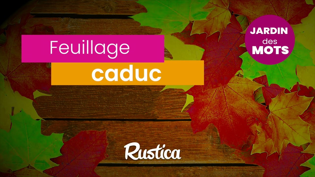 Jardin des mots :  caduc, caduque