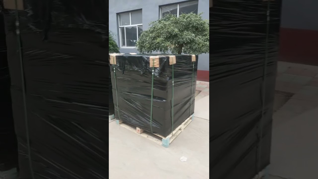 China factory cylinder liner delivery.