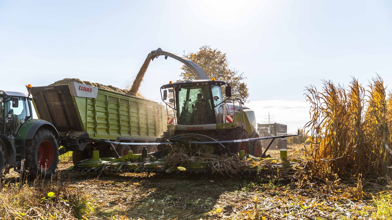 Maisernte 2021 - Best of häckseln im Süden