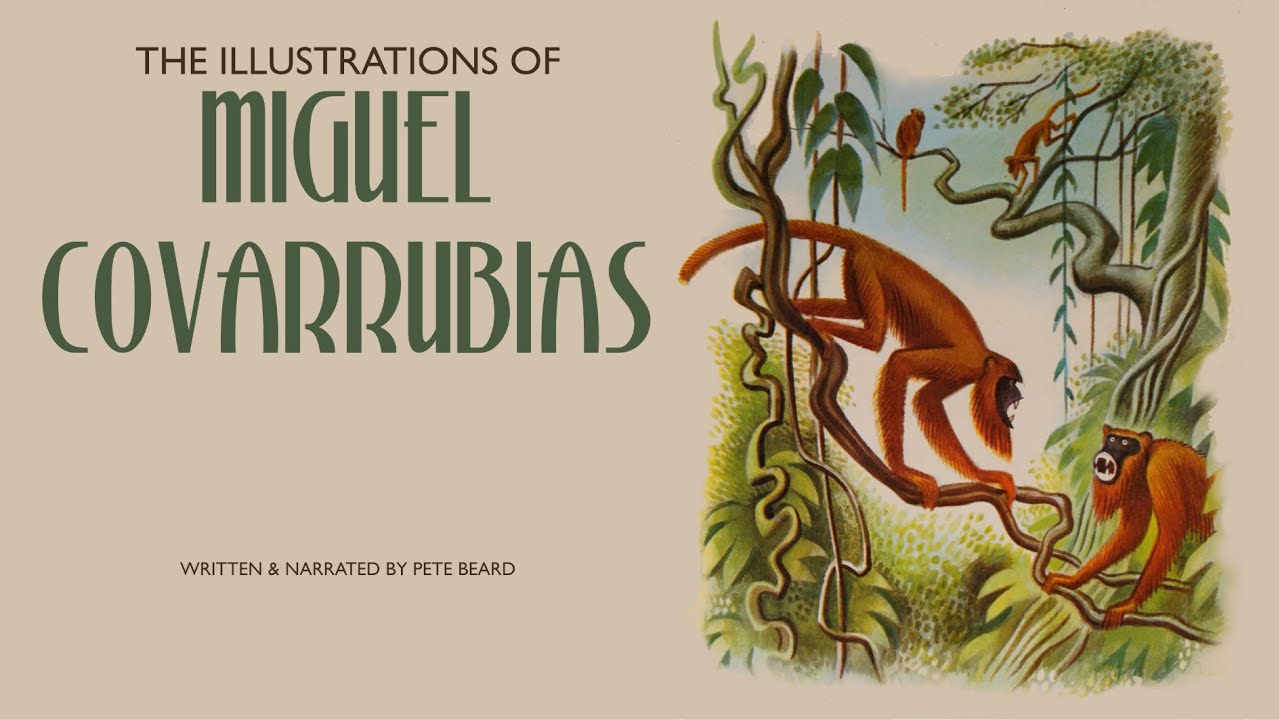 THE ILLUSTRATIONS OF MIGUEL COVARRUBIAS   HD 1080p