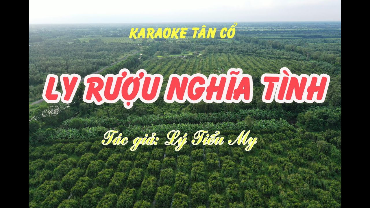 LY RƯỢU NGHĨA TÌNH - KARAOKE TÂN CỔ (BEAT MỚI) Dây kép | TẤN LỢI