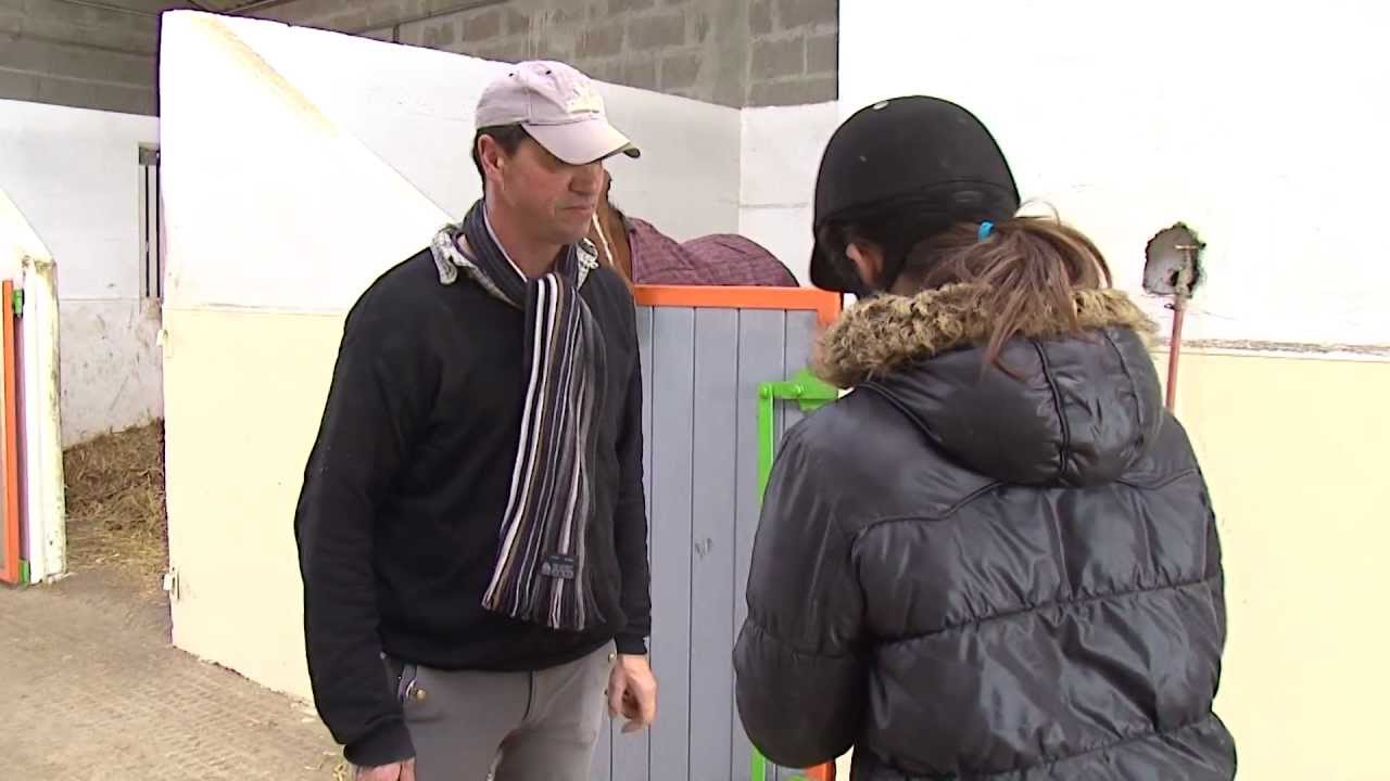 Luçon: le Haras du Fief est ouvert aux Guifettes