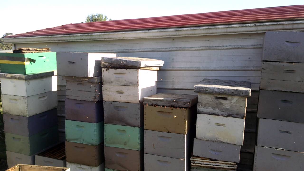 The Perfect Swarm Trap For Honey Bees