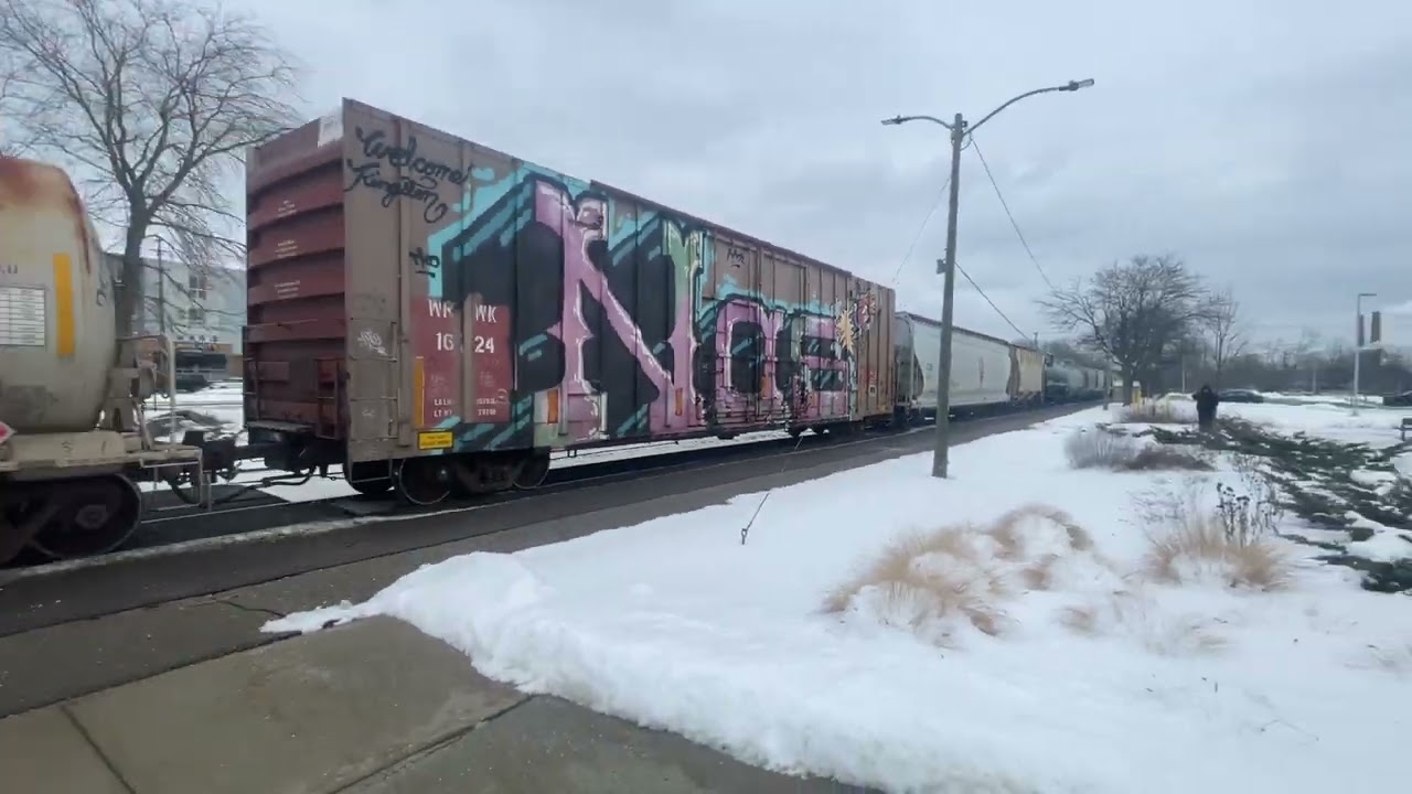 Cn A492 and with Cn 3185 and 8353 and IANR 3807 