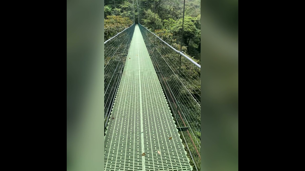SKY WALK HANGING BRIDGES MONTEVERDE COSTA RICA 💚