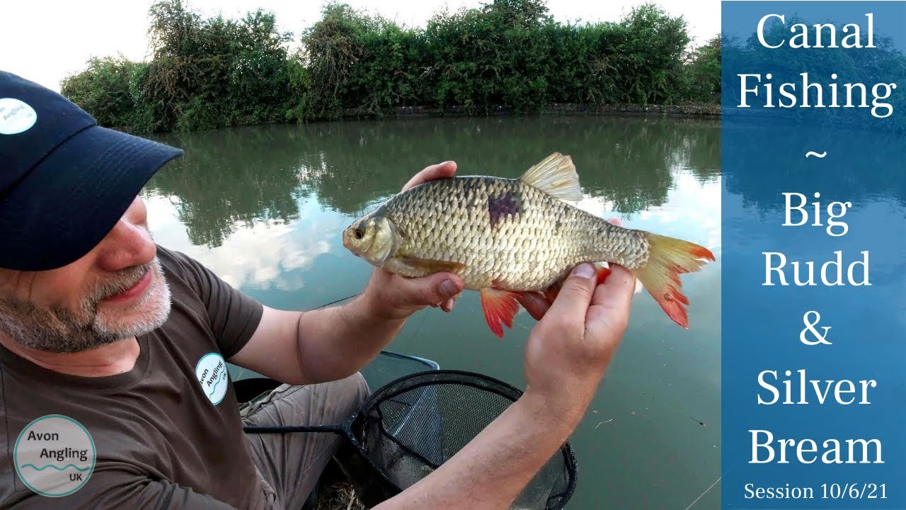 Canal Fishing - Big Rudd & Silver Bream - 10/6/21 (Video 249)
