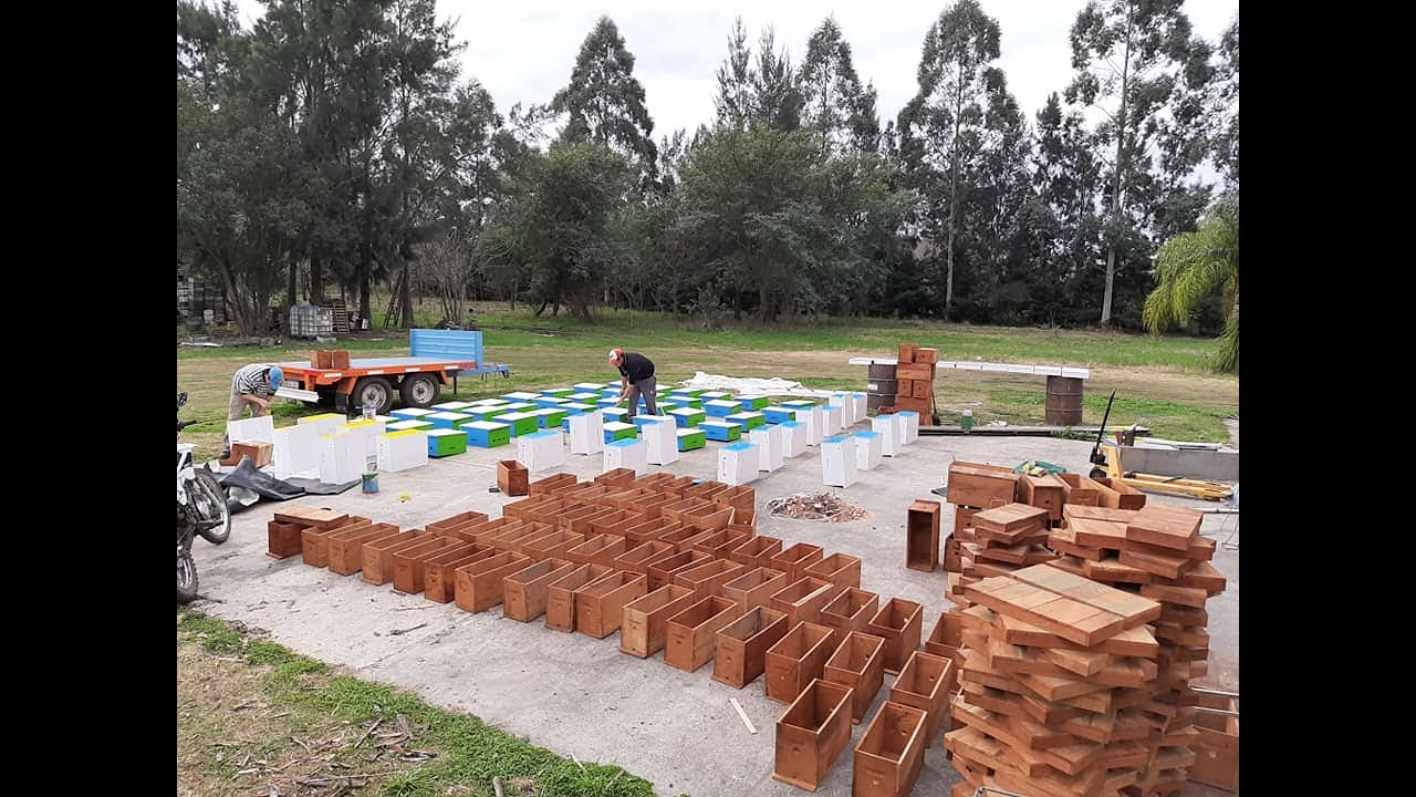 Distinto tipos de fecundadores tipo Baby, nucleros y cajon estandar de Criadero de Abejas Reinas