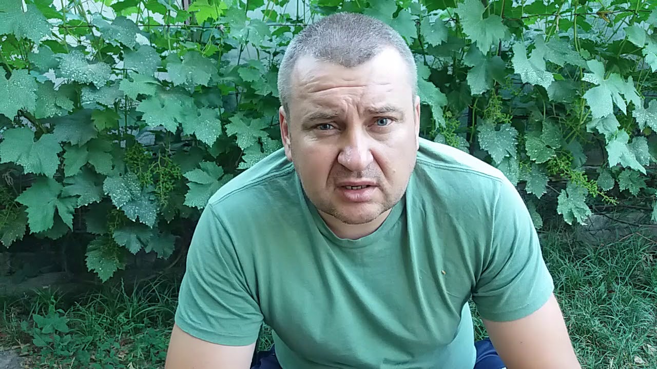 Сушка чеснока после уборки.