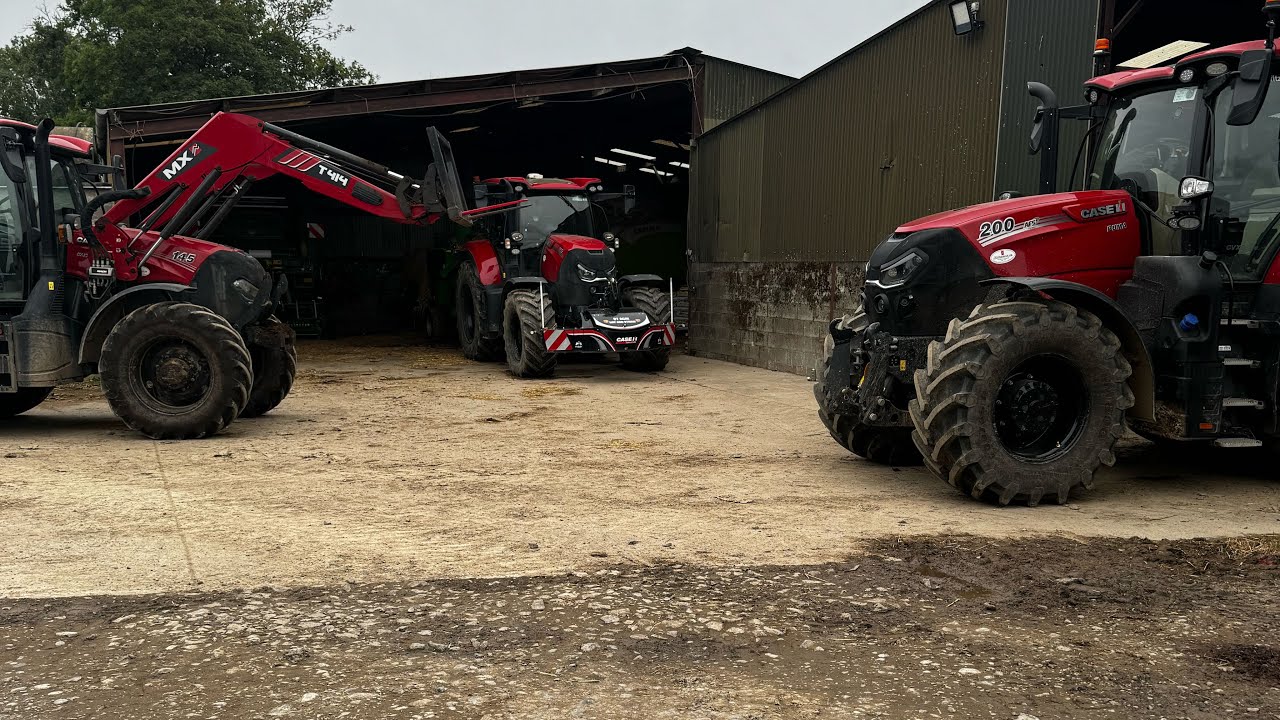 A Demo Arrives! Do We Need It? 