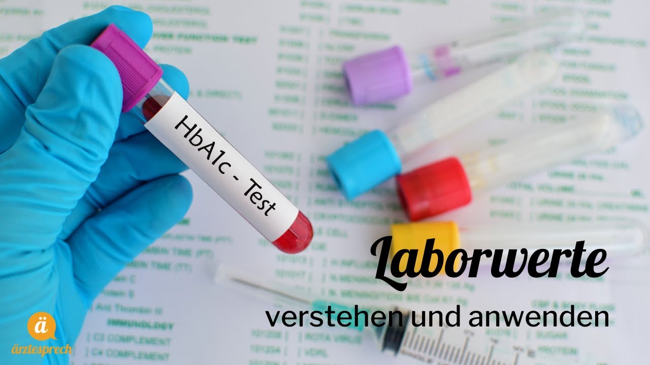 Laborwerte in der FSP // medizinische Fachsprachprüfung