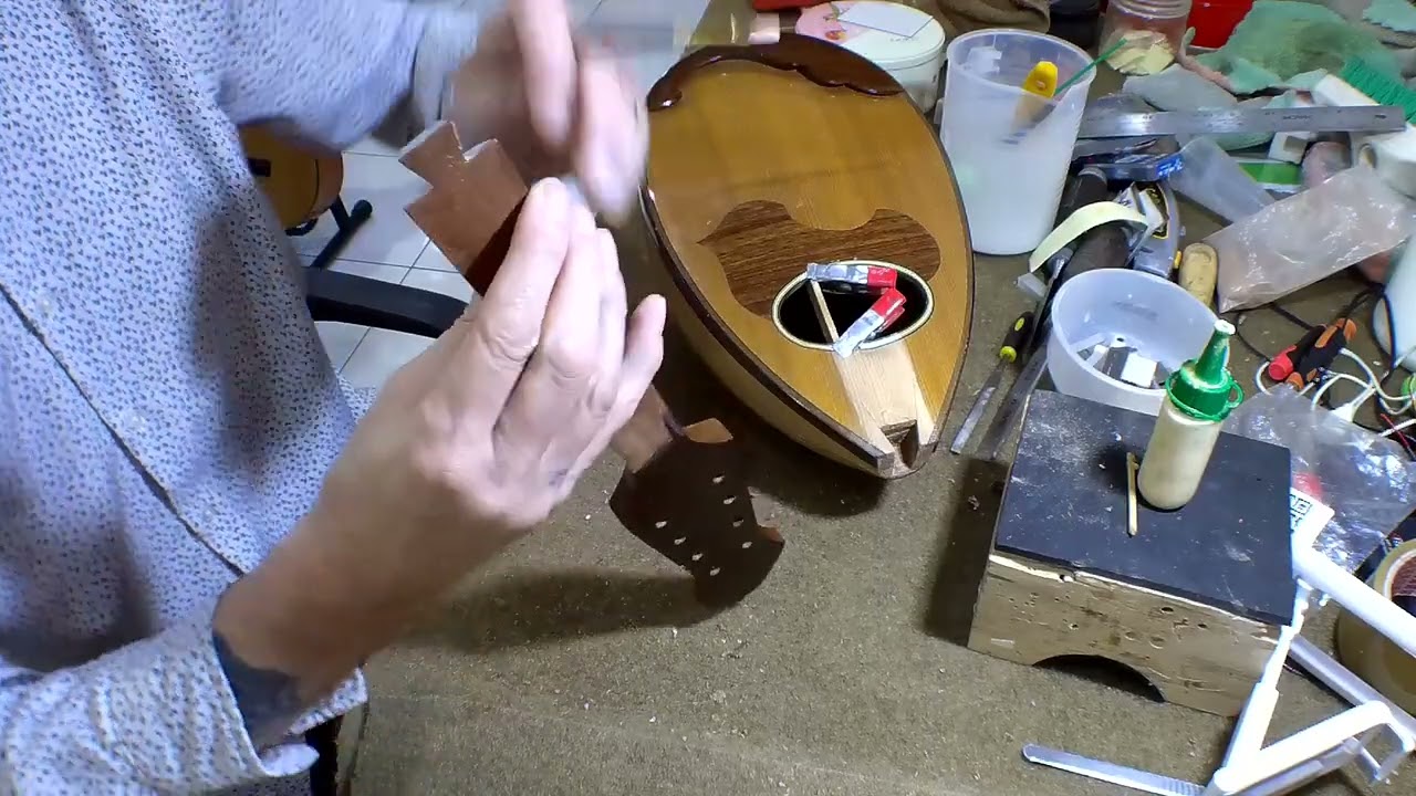 RoJoBe Music Bowlback Mandolin project part 3