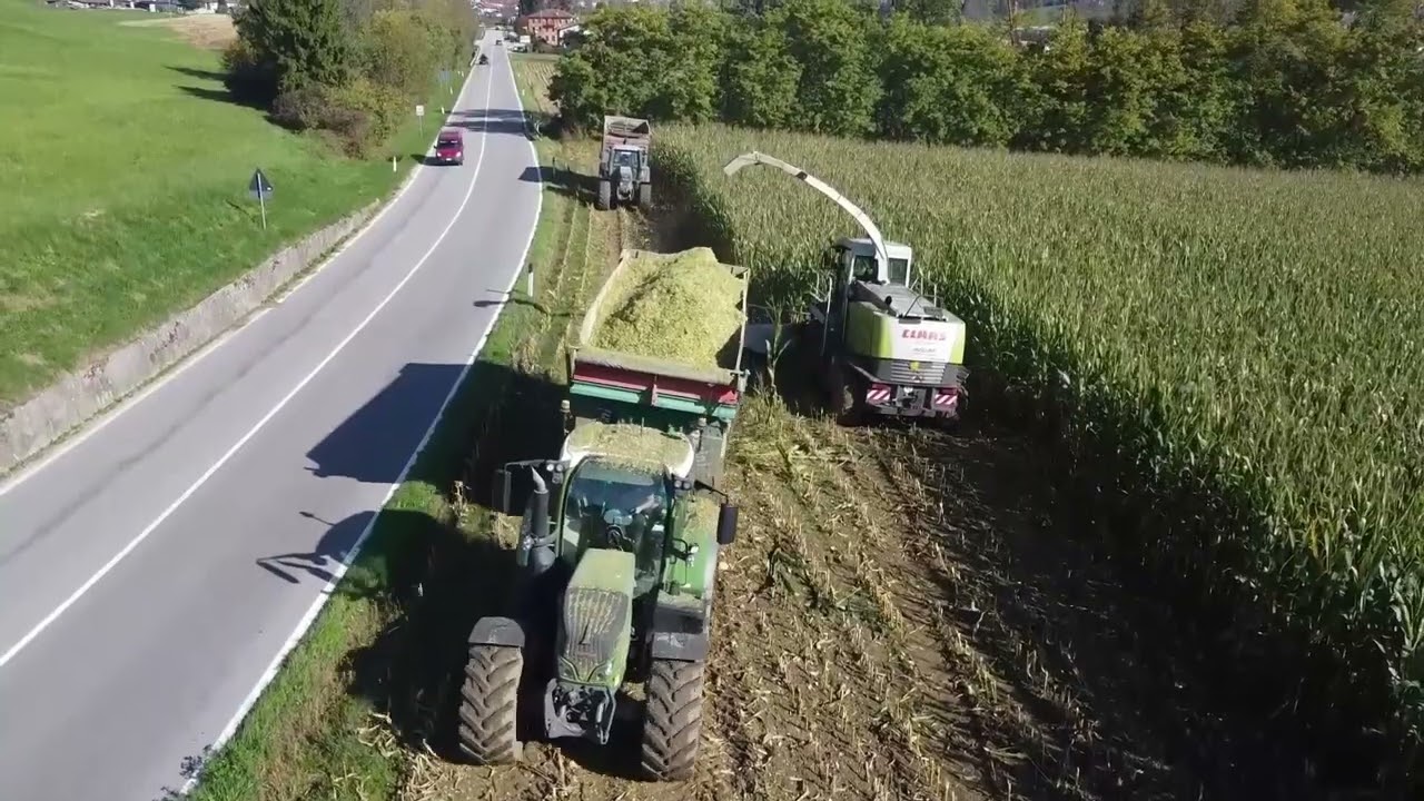 Claas Jaguar 900 | Lavori Agricoli Schiocchet | Corn Silage 2024 | Trinciato mais 2024 | Part 2