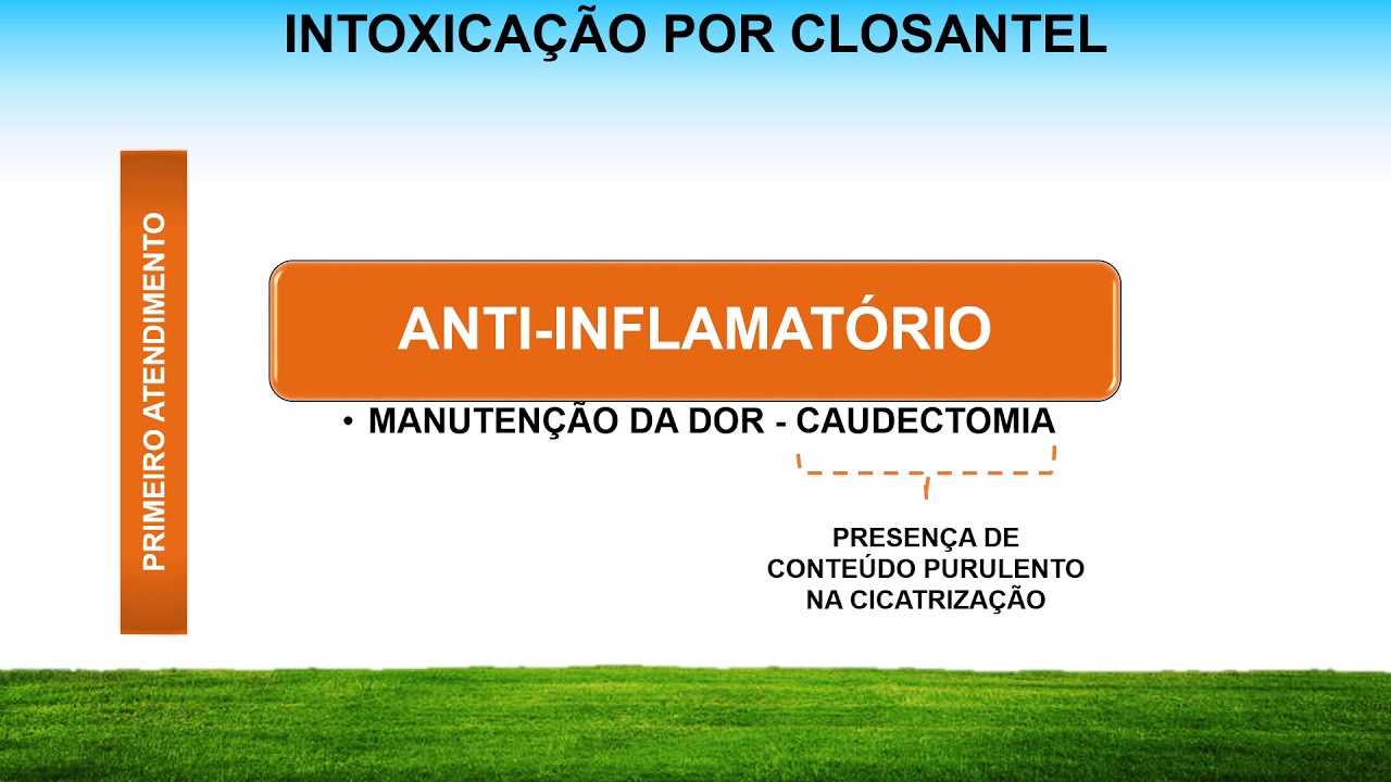 INTOXICA&Ccedil;&Atilde;O POR CLOSANTEL: Tratamento
