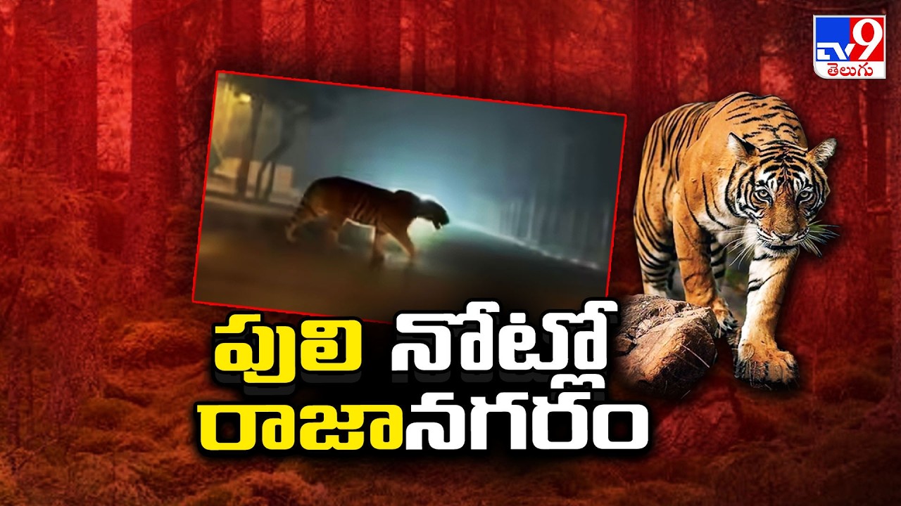 East Godavari :  పులి నోట్లో రాజానగరం  - TV9