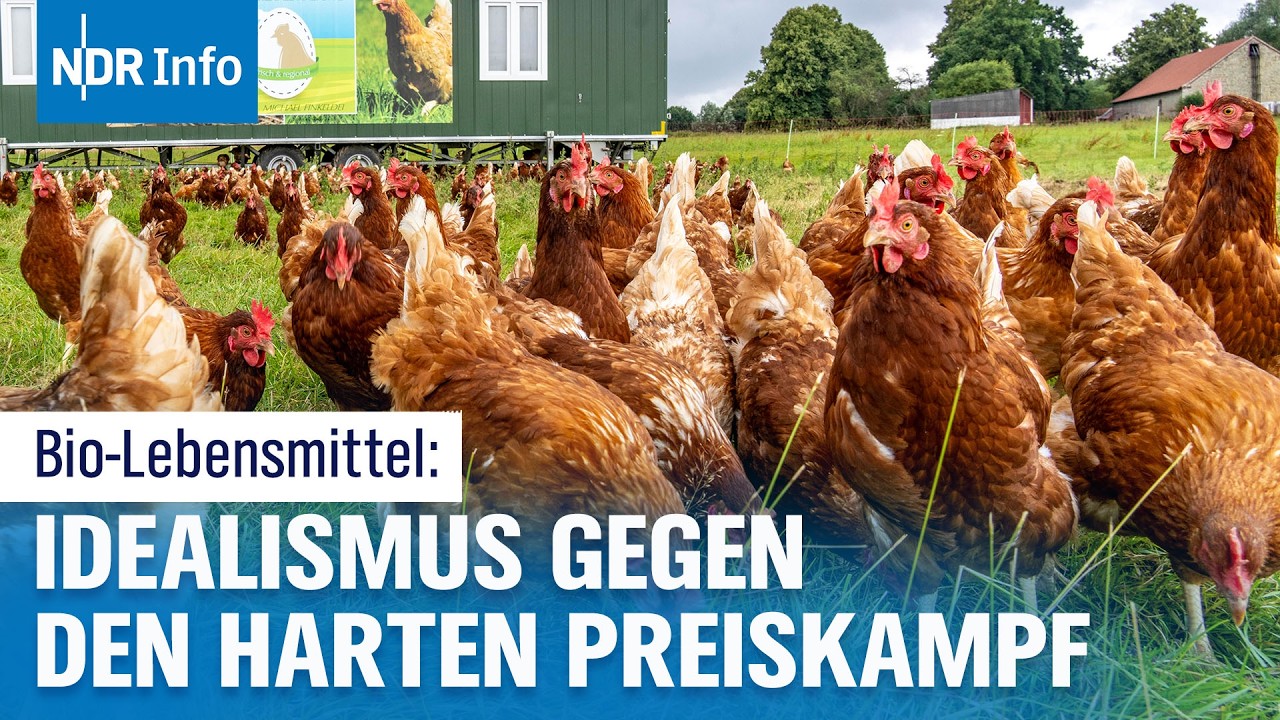 Bio-Lebensmittel: Versprechen und Wirklichkeit I #NDRfragt: wie tickst Du? | NDR Info