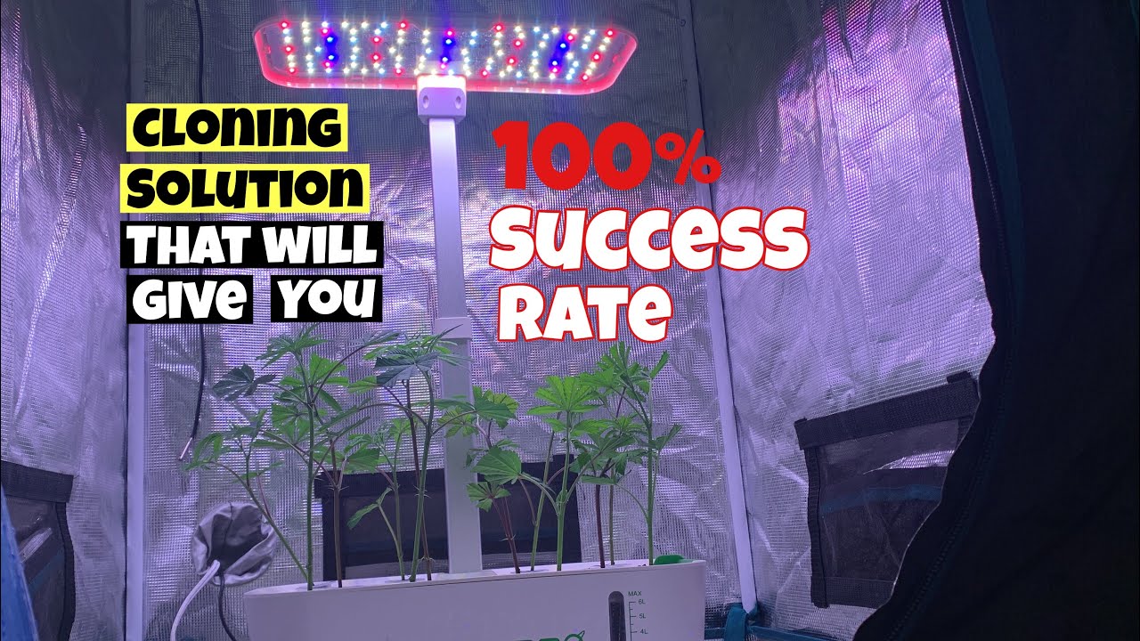 CLONING SOLUTION THAT WILL GIVE YOU 100% SUCCES RATE