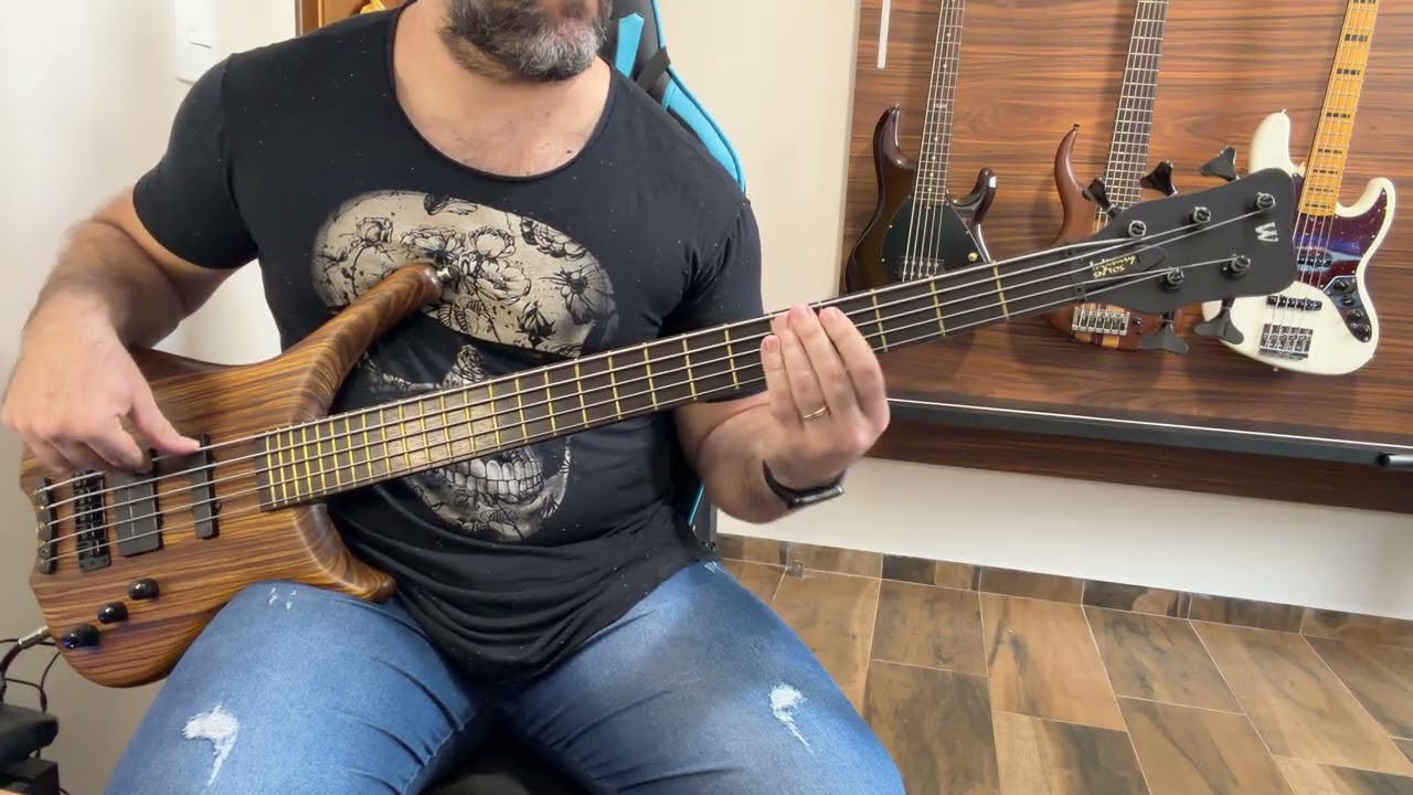 Esse baixo em Meia-Lua Inteira é uma pedrada | Caetano Veloso / Tavinho Fialho Bass Cover