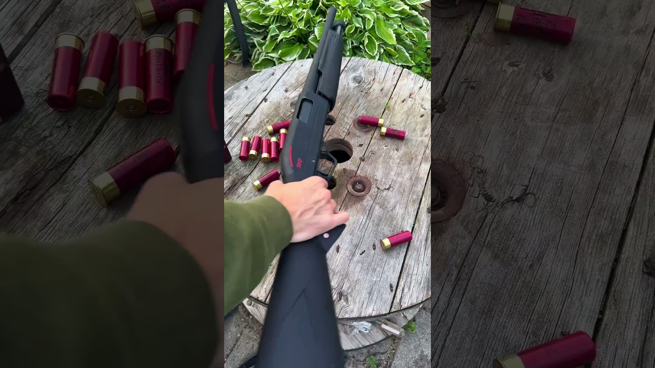 Pump Winchester SXP!