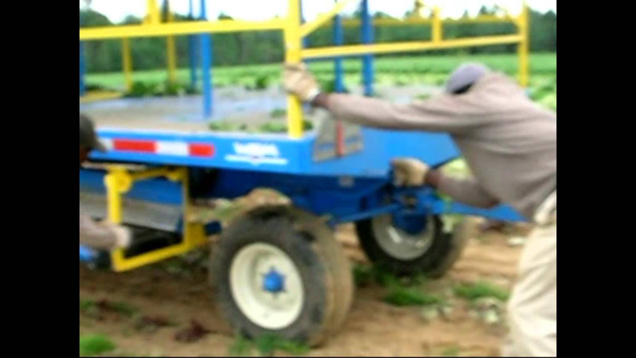 HARVEST AID WAGON & PACKING BY WEENING BROTHERS
