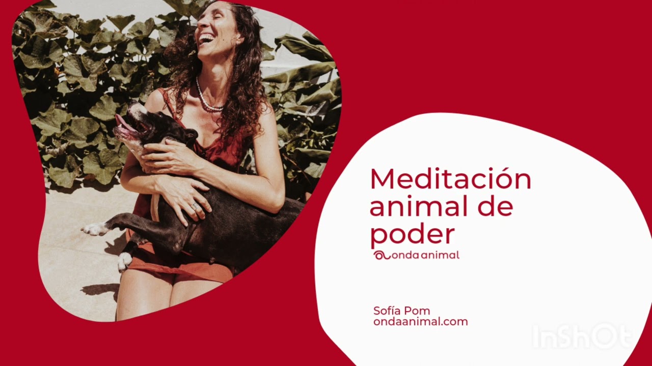 Meditaci&oacute;n de encuentro con tu animal de poder