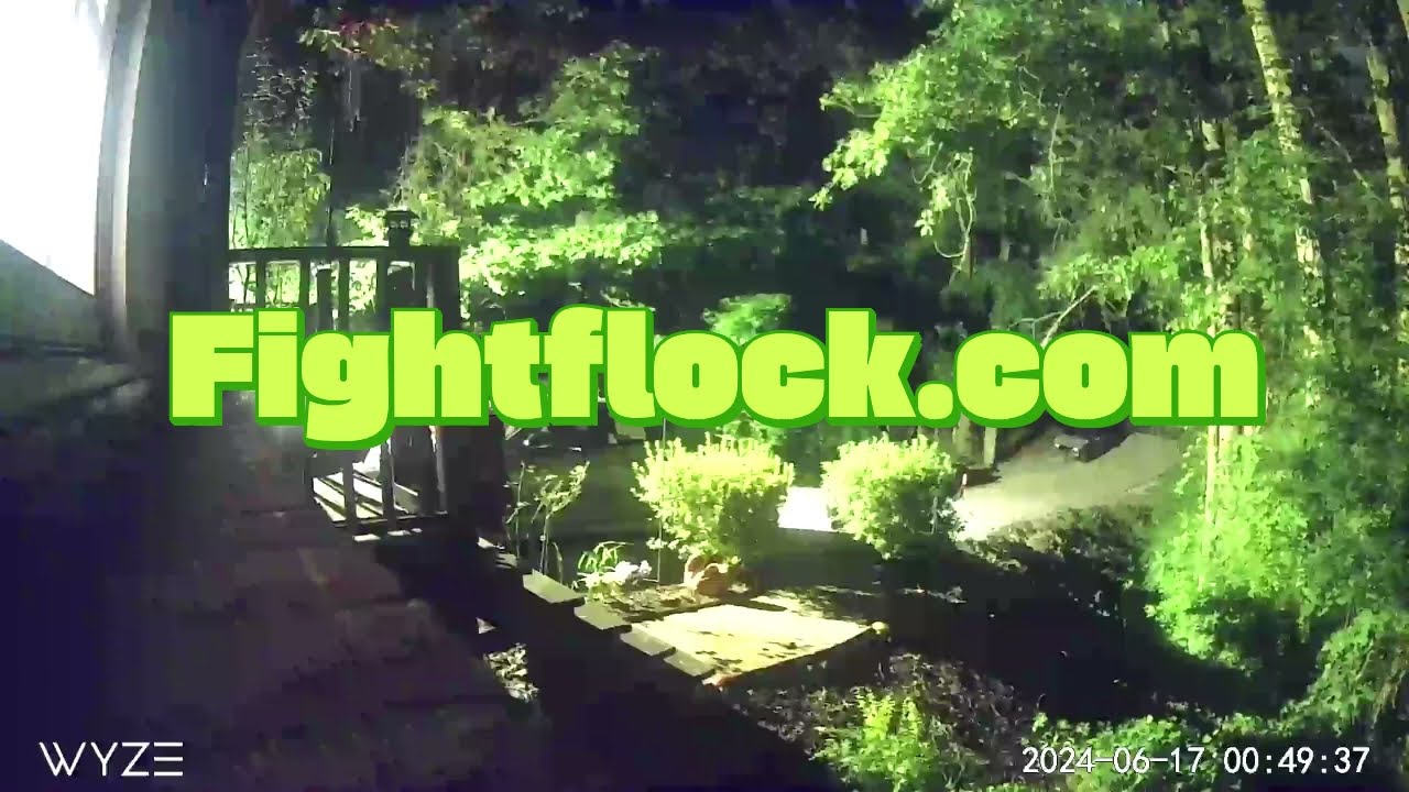 Flock camera leads to illegal search by Holly Springs Police in Georgia