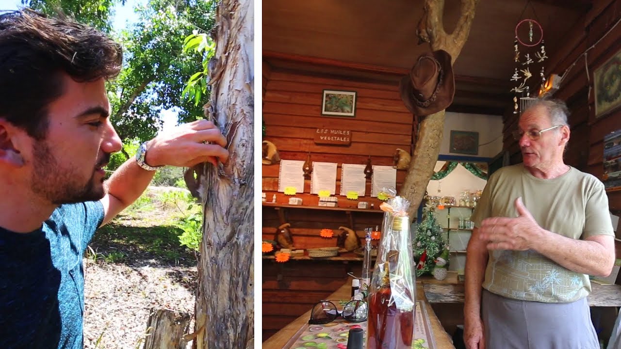 Visite de la distillerie Niaouli de Boulouparis (Nouvelle-Calédonie)