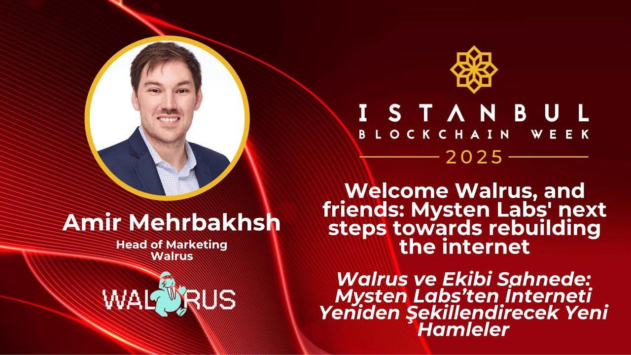 Welcome Walrus, and friends: Mysten Labs' next steps towards rebuilding the internet