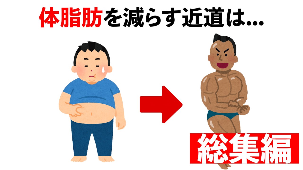 【総集編】誰かに話したくなるボディメイクの雑学　#トリビア#豆知識#筋トレ