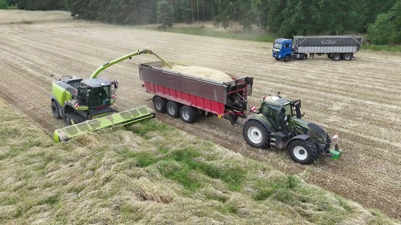 JAGUAR 990 TT 50 YEARS EDITION - GPS ERNTE 2025 , Claas, Valtra, Krampe, Fliegl / Whole crop silage
