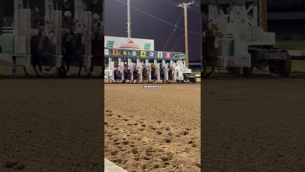 Hip&oacute;dromo los Alamitos Race Course. #carrerasdecaballos #aqha #caballos #caballosdecarreras #fyp
