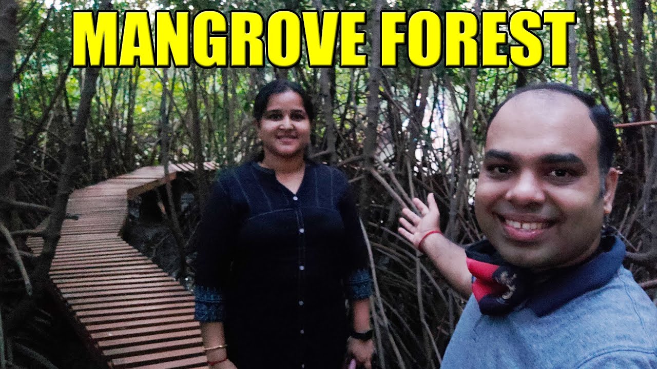 ಹೊನ್ನಾವರದ ಕಾಂಡ್ಲಾ ವನ Mangrove Forest at Honnavara [Kannada Travel Vlogs] - Mr and Mrs Kamath