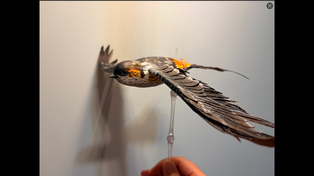 Eastern Red-rumped Swallowmade of clay/Cecropis daurica/diy/用粘土做一只金腰燕