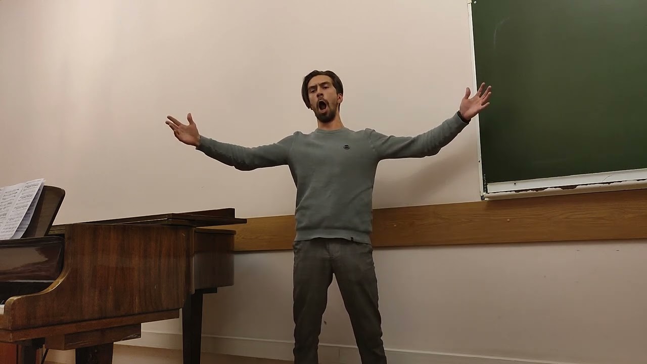 Ария Родриго из оперы 