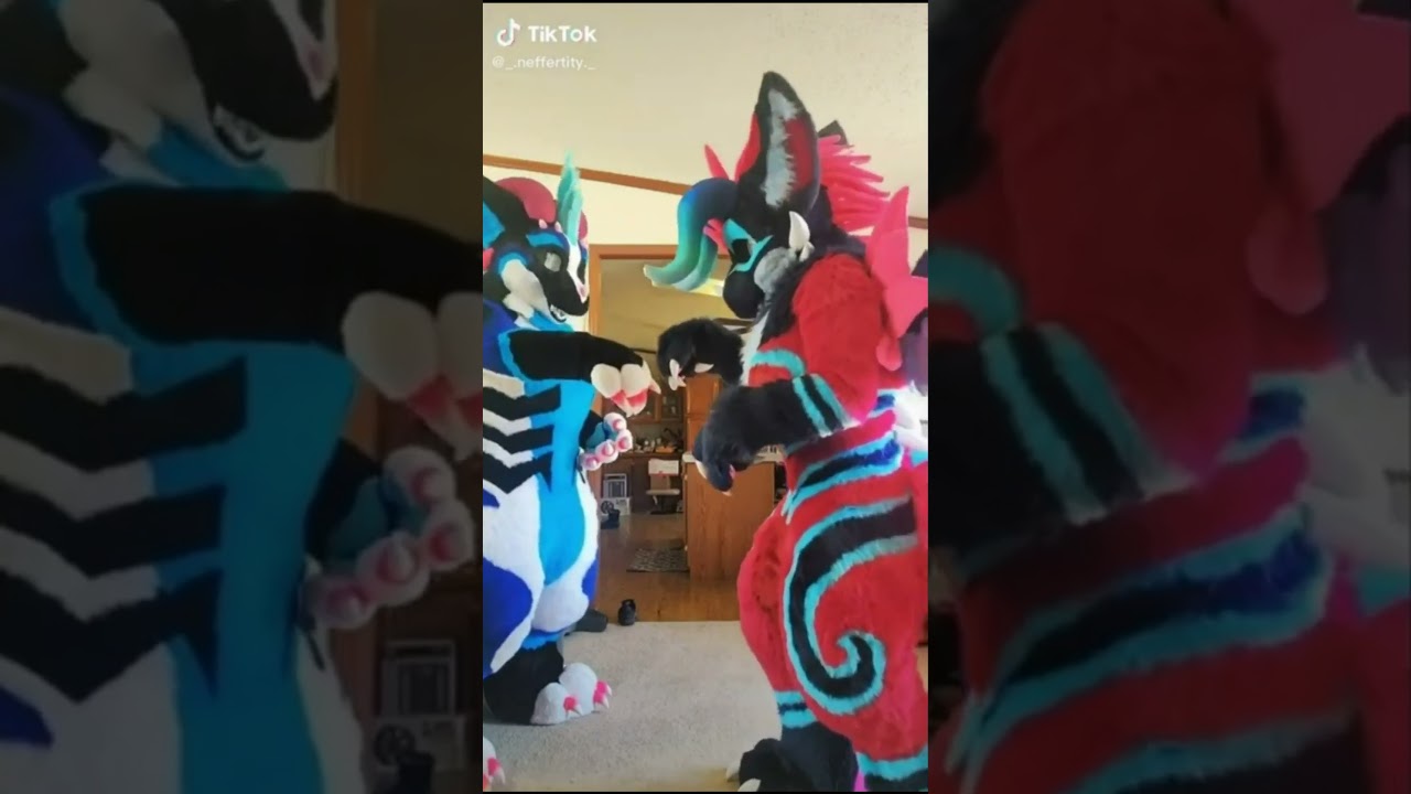 BEST Furry Tik Toks compilation 0131 #shorts #furrytiktok #furry #furrycompilation