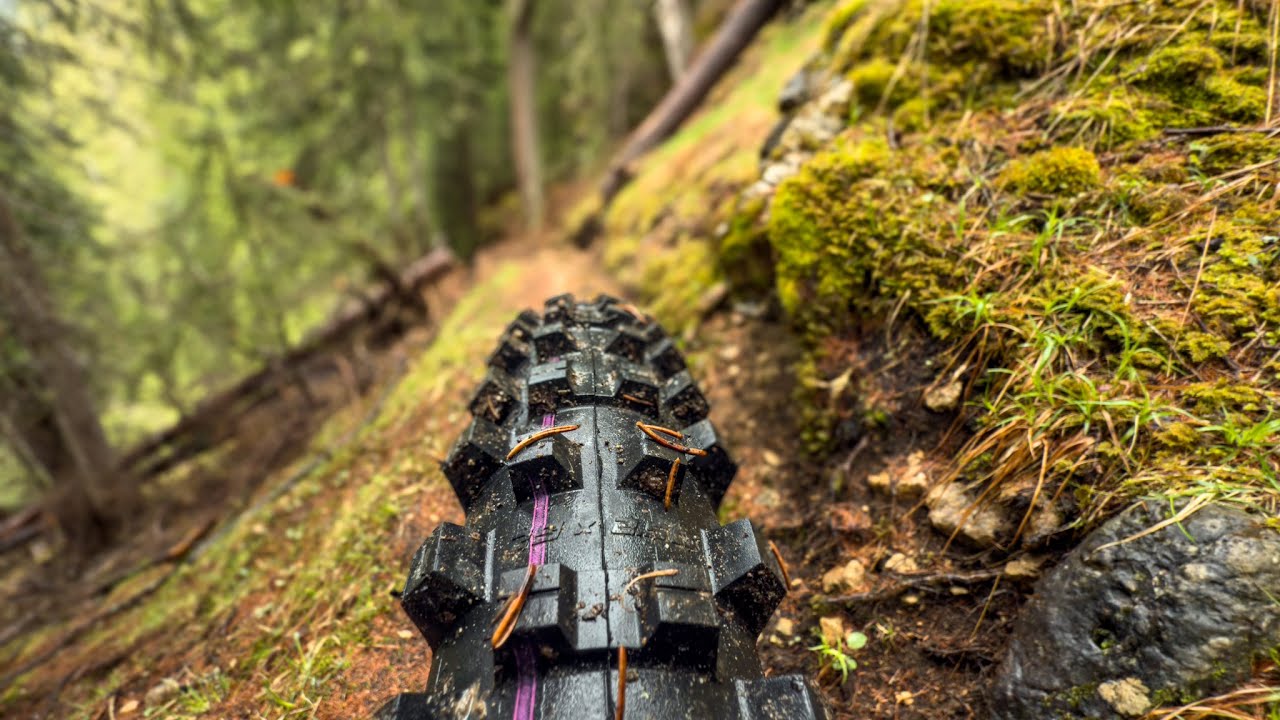 Schwalbe Shredda: la gomma con i tasselli pi&ugrave; aggressivi di sempre
