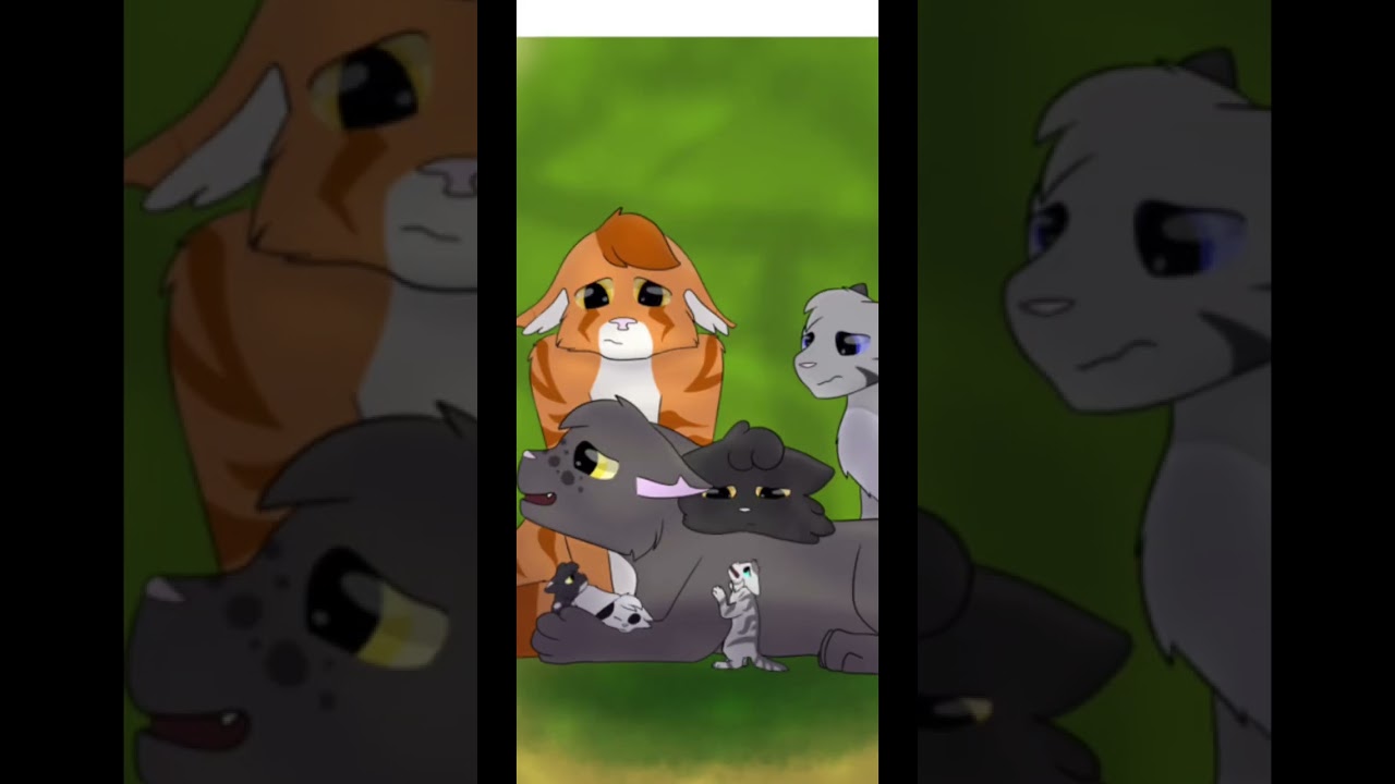 Gray Wing&rsquo;s death&hellip; #warriorcats #edit #sad