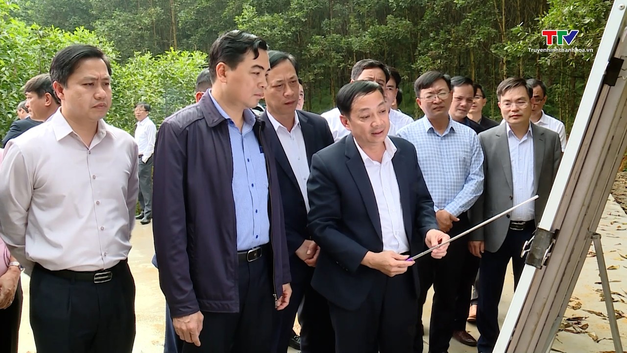 Tập trung tháo gỡ khó khăn thực hiện hiệu quả các mục tiêu, nhiệm vụ đã đề ra| Truyền hình Thanh Hóa