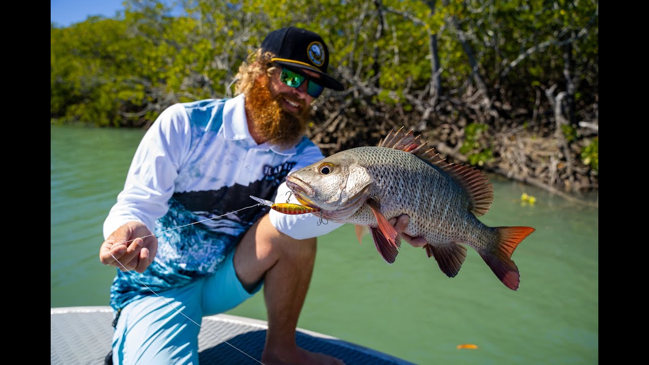 Catching Mangrove Jack and Threadfin on Lures in one of Mackay’s Mangrove Lined Creeks