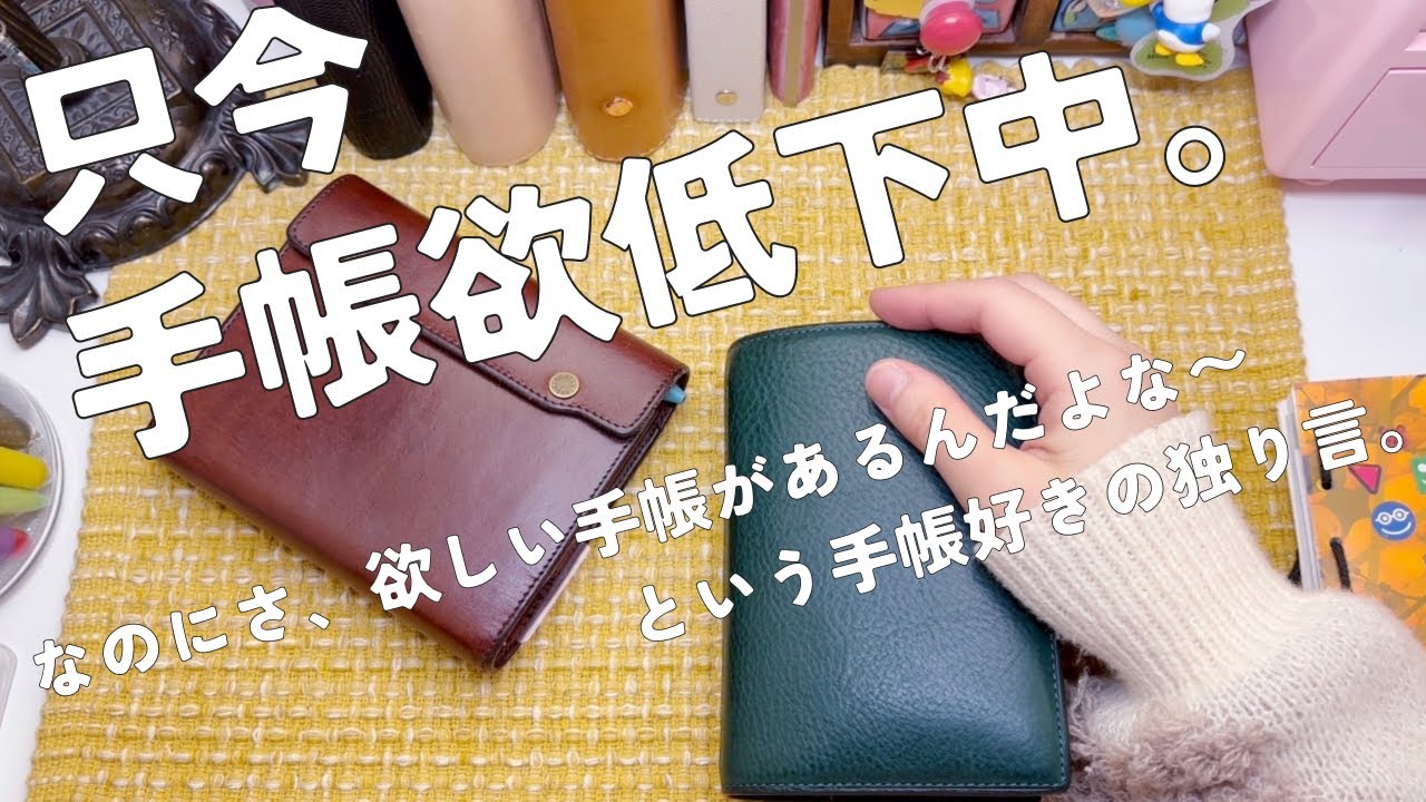 手持ちの手帳を触りながらの雑談動画です。