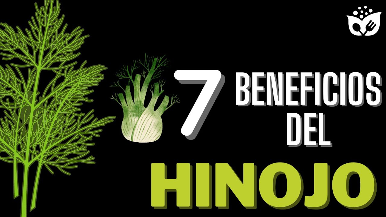 Descubre los 7 Asombrosos BENEFICIOS del HINOJO para tu Salud y Bienestar
